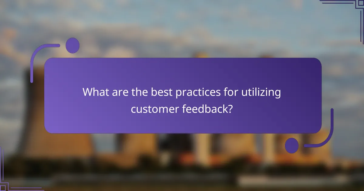 What are the best practices for utilizing customer feedback?